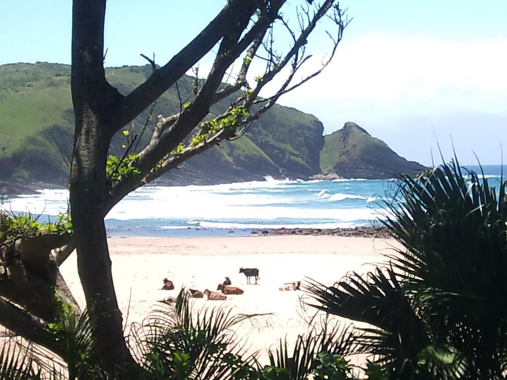 The Lodge On The Beach Port Saint Johnʼs エクステリア 写真