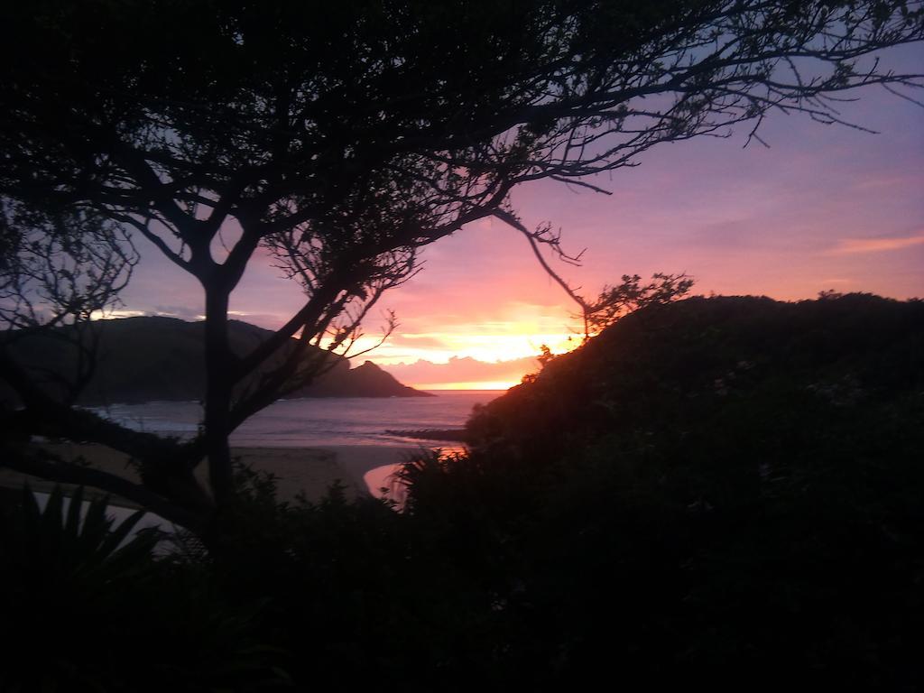 The Lodge On The Beach Port Saint Johnʼs 部屋 写真